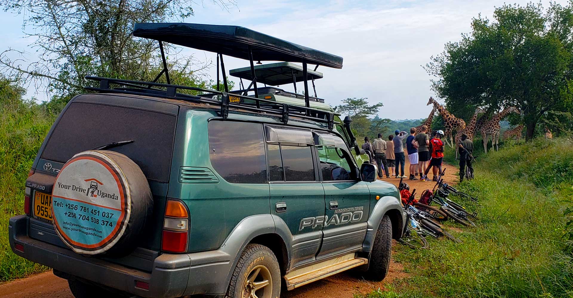 game-viewing-with-car-hire-east-africa